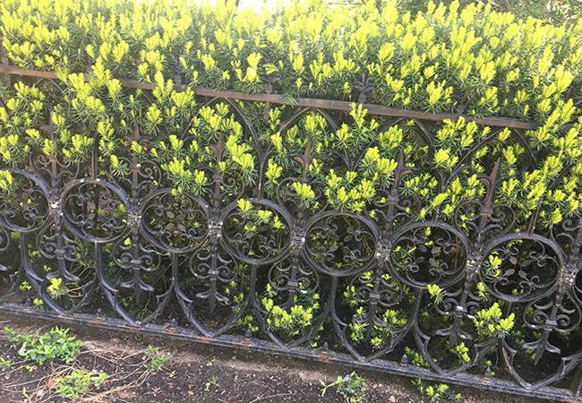 concord-academy-before
