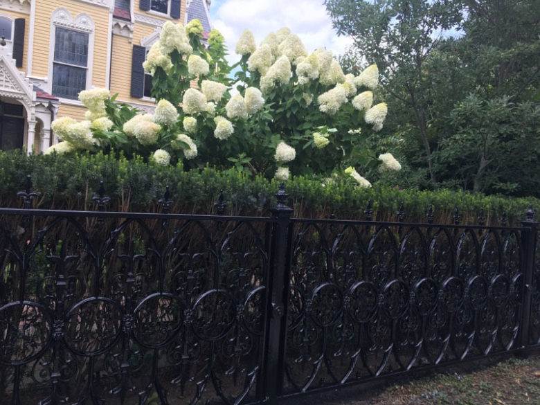 Fence Painting After in Newton Center, MA