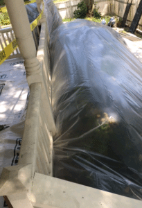 Painters protect shrubs during an EPA job from lead paint.