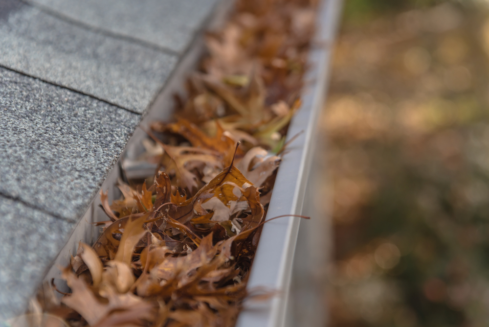 Why You Need To Protect Your Gutters Before Winter
