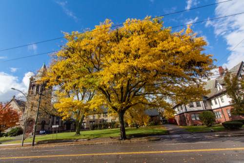 Watertown Professional Contractor