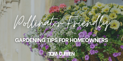 Pollinator-Friendly Gardening Tips For Homeowners in Greater Boston